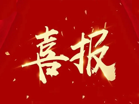 子公司江蘇天鳥高新榮膺中國航天科工集團“一級供應商”榮譽稱號！